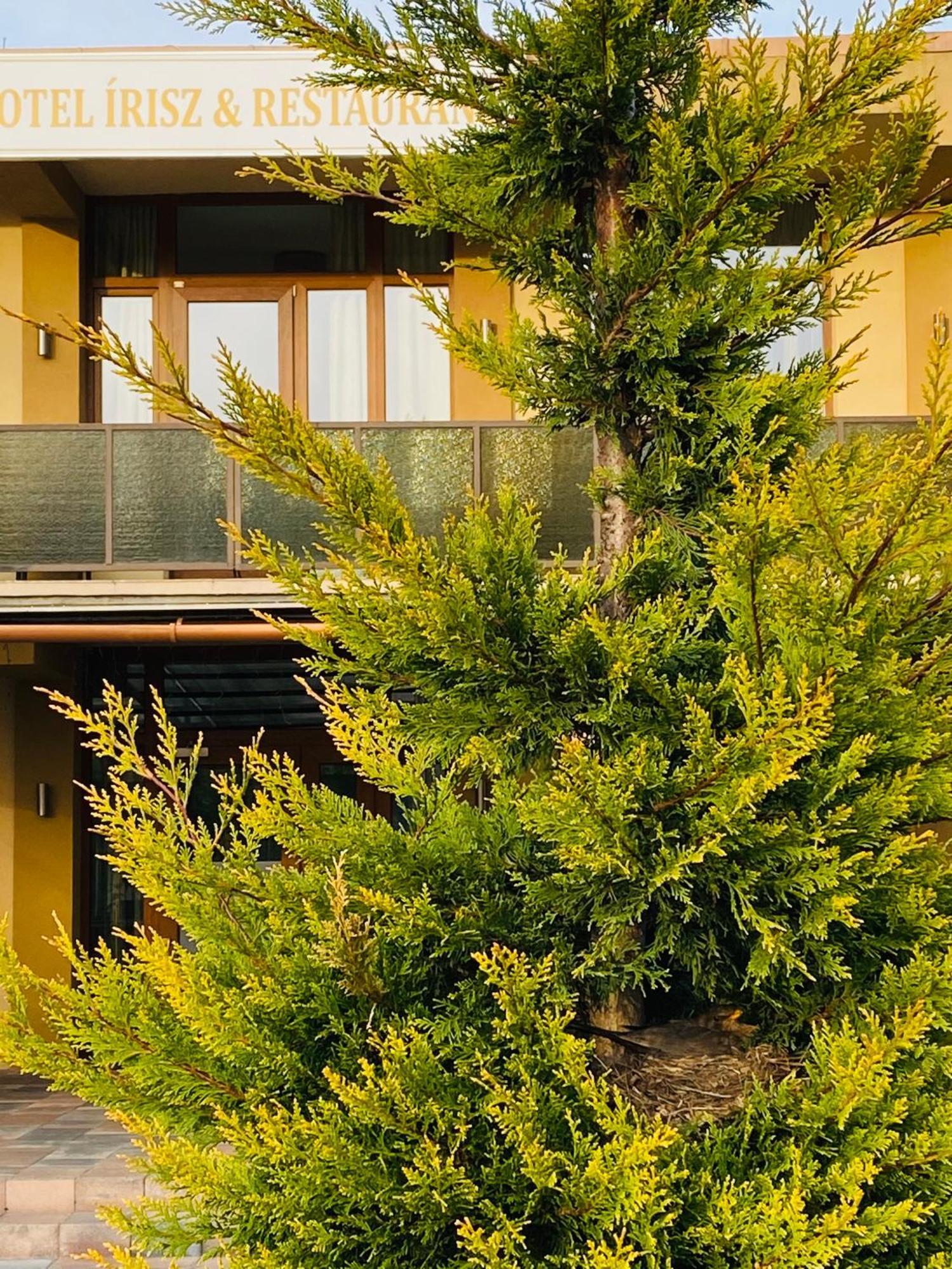 Nyíregyháza Hotel Irisz מראה חיצוני תמונה